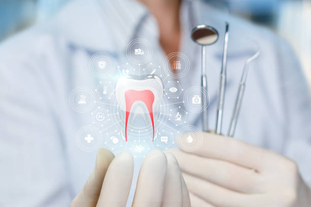 Norton Shores, MI  Holistic Dental Services Company